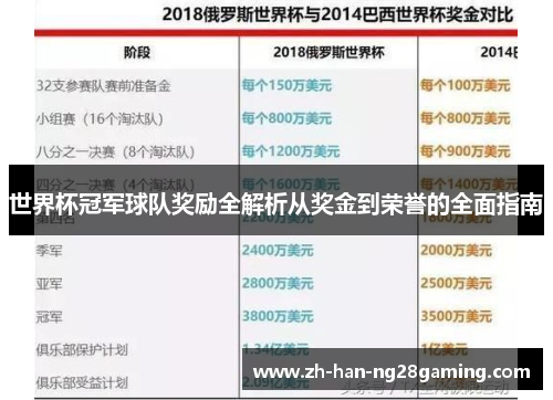 世界杯冠军球队奖励全解析从奖金到荣誉的全面指南