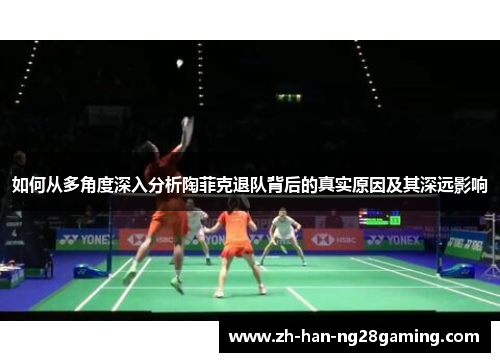 如何从多角度深入分析陶菲克退队背后的真实原因及其深远影响