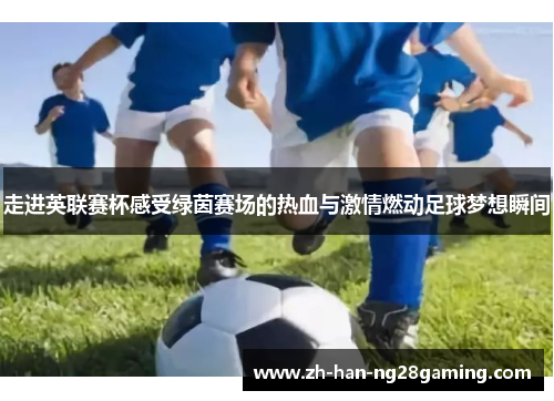 走进英联赛杯感受绿茵赛场的热血与激情燃动足球梦想瞬间
