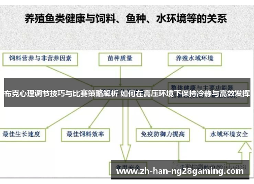 布克心理调节技巧与比赛策略解析 如何在高压环境下保持冷静与高效发挥