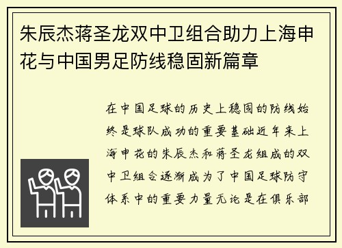 朱辰杰蒋圣龙双中卫组合助力上海申花与中国男足防线稳固新篇章